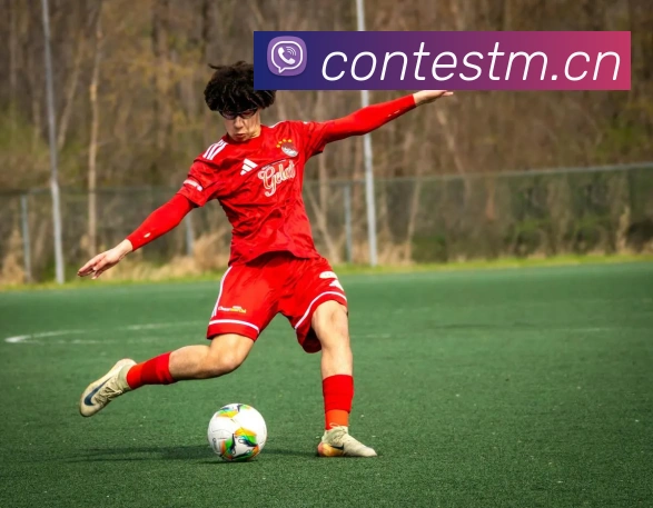 爱游戏平台官网入口官网发展历程